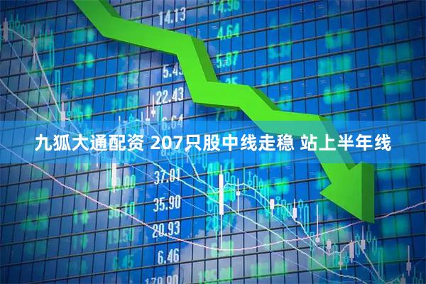 九狐大通配资 207只股中线走稳 站上半年线