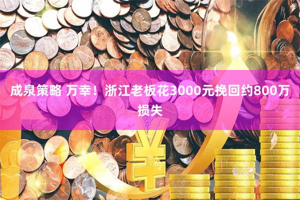 成泉策略 万幸！浙江老板花3000元挽回约800万损失