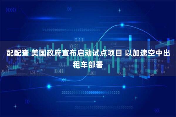 配配查 美国政府宣布启动试点项目 以加速空中出租车部署