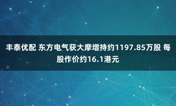 丰泰优配 东方电气获大摩增持约1197.85万股 每股作价约16.1港元
