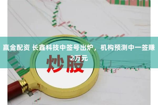 赢金配资 长鑫科技中签号出炉，机构预测中一签赚2万元